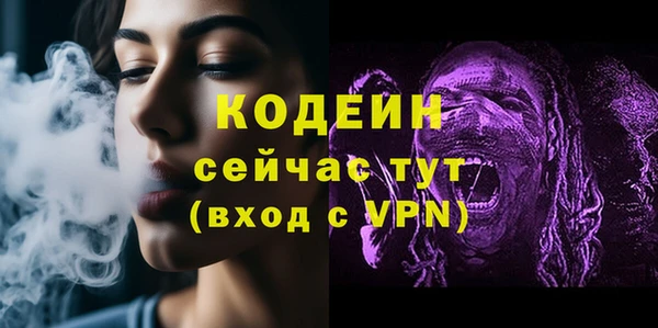 СК Кукмор